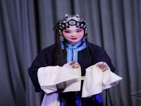 京劇演唱特點(京劇演唱的特點)