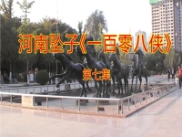 河南墜子一百零八俠11(河南墜子一百零八俠11集)