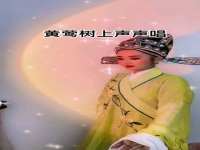 黃梅戲看故園《原唱》(黃梅戲看故園原唱曲譜)