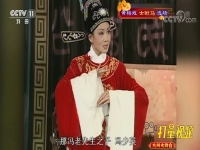 黃梅戲女駙馬表達的意思(黃梅戲女駙馬講的什么故事)