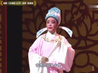 越劇十八為地金靜唱(越劇十八相送原唱視頻戚畢派)
