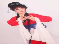 廣東潮劇藝術(shù)團簡介(廣東潮劇藝術(shù)團簡介視頻)
