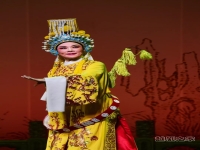打金枝越劇全劇吳鳳花(越劇打金枝吳鳳花吳素英演唱)