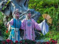 牡丹亭游園昆曲(牡丹亭游園昆曲伴奏)