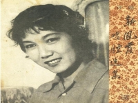 評劇新鳳霞簡介(評劇名家新鳳霞簡介)