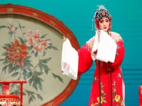 馮軍越劇演員(馮軍越劇演員介紹)