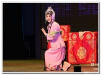 戲曲花為媒全劇(戲曲花為媒報花名選段)