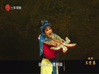 越劇玉堂春全劇(越劇玉堂春全劇人物介紹)