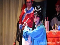 河南曲劇免費(fèi)下載(河南曲劇全集大全視頻)