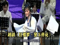 越劇唱段葬花(越劇 葬花唱詞)
