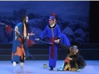 豫劇演員王美娟(豫劇演員王美娟是哪里人)