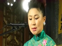 河南墜子十八板(河南墜子十八生氣)