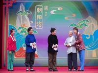 豫劇經(jīng)典名段(豫劇經(jīng)典名段風雪配音)