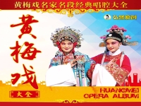 黃梅戲經(jīng)典100首(黃梅戲經(jīng)典100首歌曲大全)