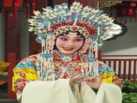 京劇王蓉蓉的經典唱段狀元媒(京劇狀元媒宮中一折視頻王蓉蓉)