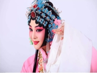 黃梅戲十大代表作(黃梅戲十大代表作品)