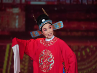 黃梅戲無事生非(黃梅戲無事生非劇情介紹)