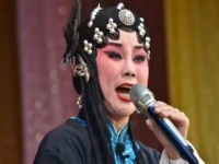 啞女告狀秦腔全本簡介(啞女告狀秦腔全本人物名字)