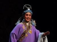 豫劇演員樊萍(豫劇演員樊萍簡介)