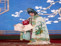 戲曲家荀慧生塑造的經(jīng)典戲曲人物(戲曲家荀慧生塑造的經(jīng)典戲曲人物有)