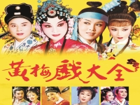 帶有戲曲的歌曲(帶有戲曲的歌曲有哪些,名字)