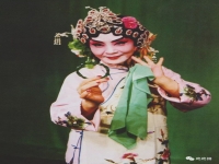 河北梆子柜中緣(河北梆子柜中緣全本)