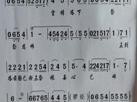 關于潮劇雷鋒塔下的信息