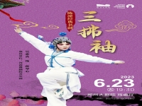 河南豫劇青年團王二震(河南豫劇院青年團王二震)