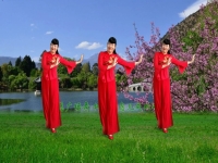 黃梅戲樹的鳥兒成雙對歌詞(樹上的鳥兒成雙對黃梅經典曲目)
