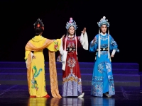 新貍貓換太子越劇(新版貍貓換太子越劇)