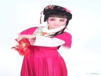 曲劇名家名段大聯唱(曲劇名家唱段大全原唱)