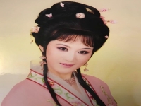 越劇王鑫蘭介紹(越劇王蘭英唱什么派)
