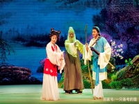 黃梅戲西廂記馬蘭(黃梅戲馬蘭專輯視頻)