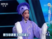 越劇白蛇傳選段(越劇白蛇傳選段戚雅仙)