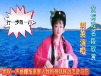 黃梅戲小辭店全場播放(最經典黃梅戲全劇小辭店)