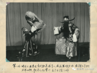李桂云河北梆子(河北梆子李桂云簡介)