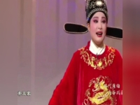 黃梅戲吳美蓮小辭店(吳瓊黃梅戲小辭店來來來唱段)