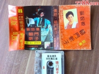 秦腔轅門斬子劇情介紹(秦腔轅門斬子劇情介紹大全)