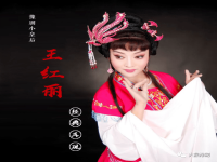豫劇骨肉恩仇王燕(豫劇骨肉恩仇王燕唱段)