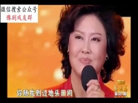 豫劇王惠調離一團(豫劇王惠為什么調離一團)