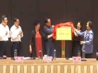 皖西廬劇李立存(皖西廬劇李立存廬劇大全樓臺會)
