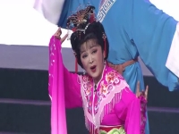黃梅戲吳亞玲現狀(黃梅戲名家吳亞玲的微博)