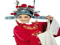 黃梅戲女駙馬演員表(黃梅戲女駙馬劇情介紹)