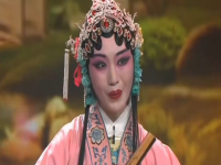 牡丹亭黃梅戲(牡丹亭黃梅戲尋夢)