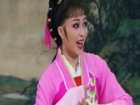 黃梅戲演員梅院軍(黃梅戲演員梅院軍近況)