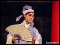 黃梅戲與昆曲的關系(黃梅戲與昆曲的關系是什么)