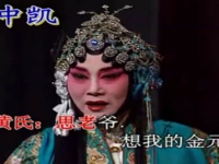周萍階楚劇全集(周萍階楚劇全集楚劇大全周萍階全部)