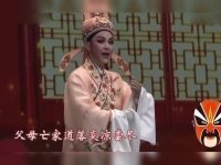 越劇情探全劇唱詞(越劇情探全場觀看視頻頻道)