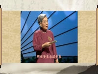 河南說書墜子大全(河南說書墜子大全五子登科)