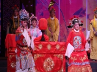女駙馬黃梅戲視頻(女駙馬黃梅戲視頻w)